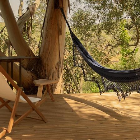Soul Farm Algarve - Glamping & Farm Houses Aljezur Luaran gambar