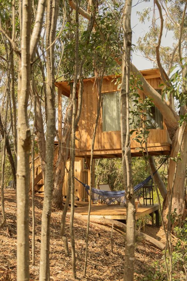 Soul Farm Algarve - Glamping & Farm Houses Aljezur Luaran gambar