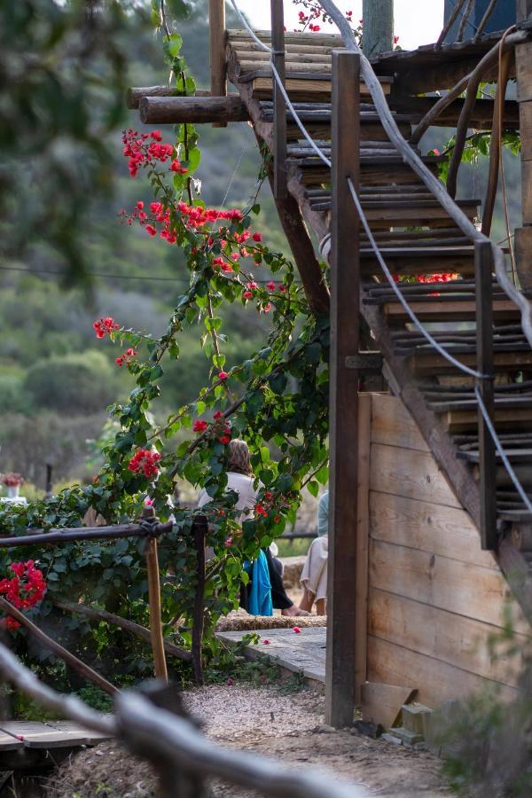 Soul Farm Algarve - Glamping & Farm Houses Aljezur Luaran gambar