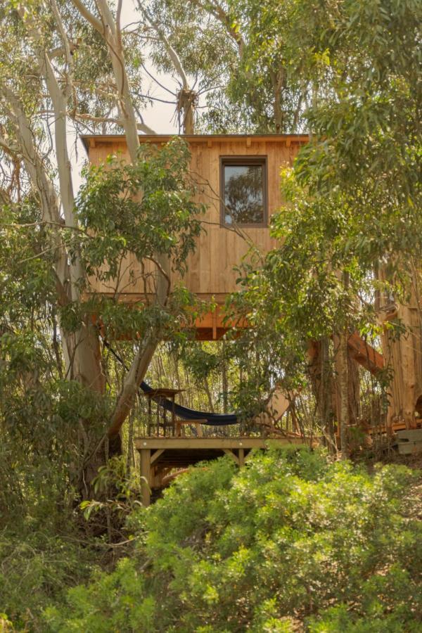 Soul Farm Algarve - Glamping & Farm Houses Aljezur Luaran gambar