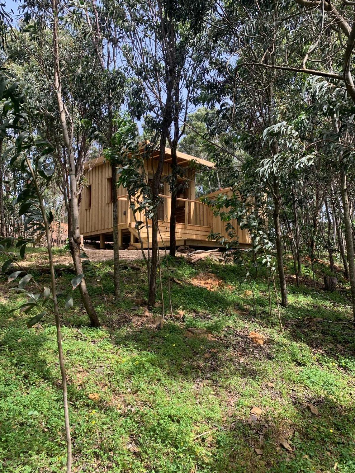 Soul Farm Algarve - Glamping & Farm Houses Aljezur Luaran gambar